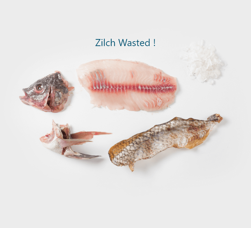 zilch-wasted
