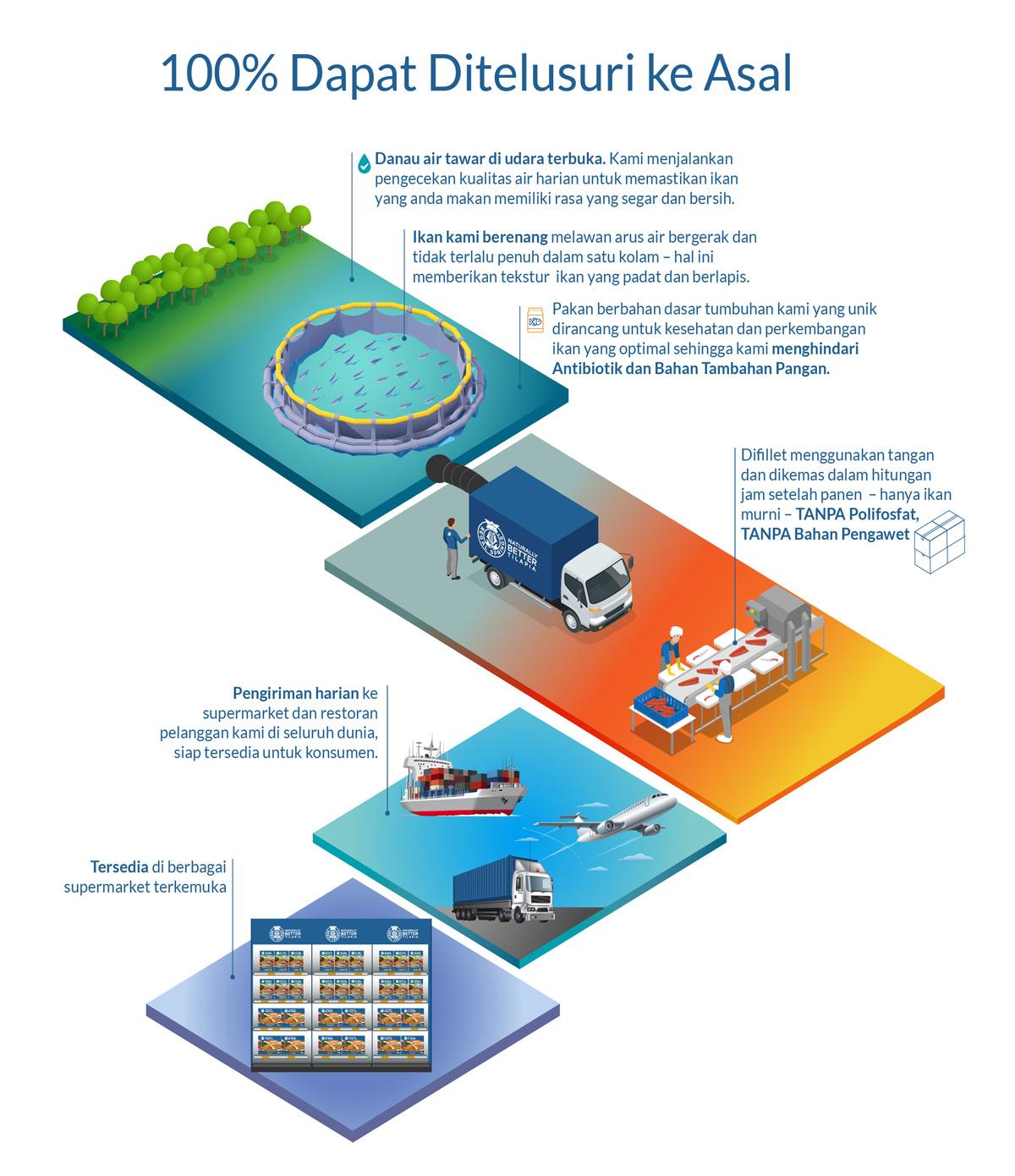 infograph-ind3