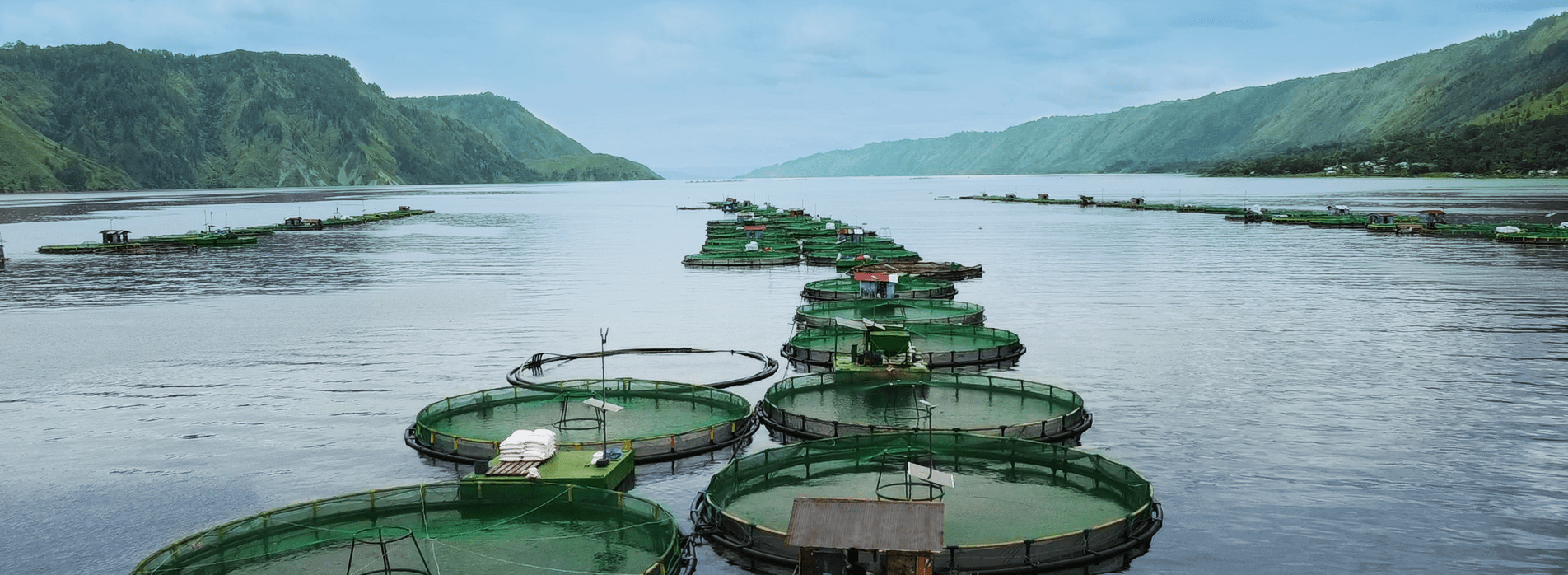 Aquaculture OPEX set to rise by 300 percent