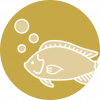 RS_Icons_Healthy Fish