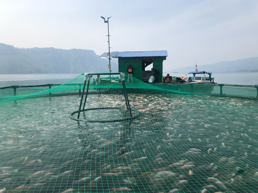 Regal Springs joins the IDH-led working group taking tangible action to reduce carbon footprints in the Aquaculture Industry